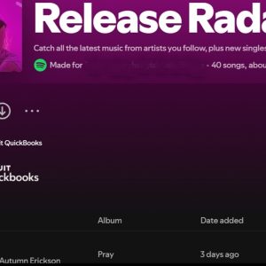 This article highlights some fantastic independent musicians to get on your radar. All of these bands I discovered a while ago.